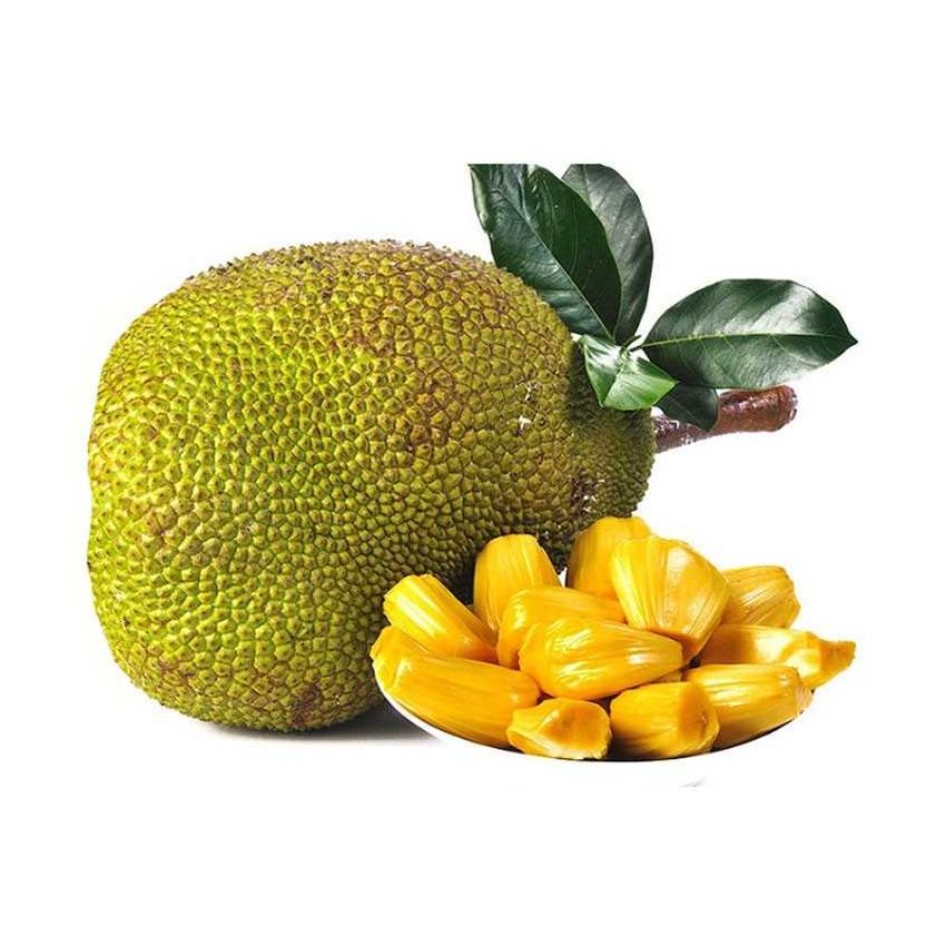 Jack Fruit