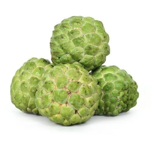 Custard Apple